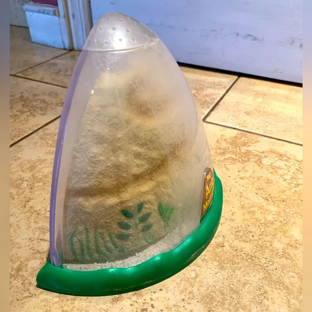 Insect Lore Ant Mountain Tunneling Habitat